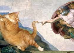 Michelangelo, The Creation of cAt-dam