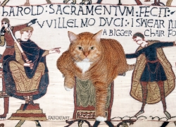 The Bayeux Tapestry, true 23rd scene, 1070 AD