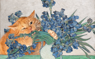 Vincent van Gogh, Irises and the Cat